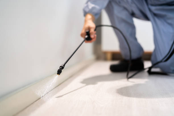 Licensed Pest Control service in Fairmount, CO - Show Me Pest Control